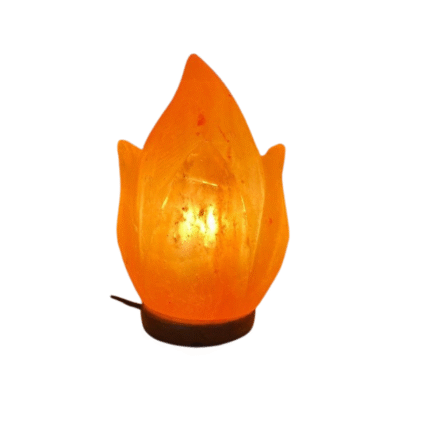 Himalayan Salt Flame Lamp