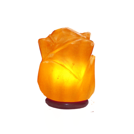 Himalayan Salt Flower Shape Lamp